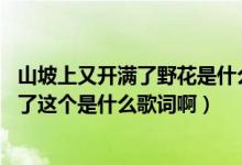 山坡上又开满了野花是什么歌（山顶上的野花,谢了谢了又开了这个是什么歌词啊）