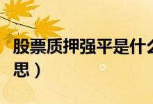 股票质押强平是什么意思（股票强平是什么意思）