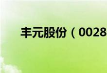 丰元股份（002805）发行市盈率多少