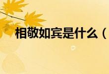 相敬如宾是什么（相敬如宾是什么意思）