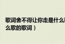 歌词舍不得让你走是什么歌（可是我先走了纵然太不舍是什么歌的歌词）