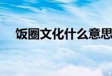 饭圈文化什么意思（饭圈文化什么意思）