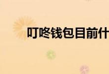 叮咚钱包目前什么状况（叮咚钱包）
