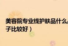 美容院专业线护肤品什么品牌好（美容院专业线产品哪个牌子比较好）