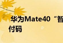  华为Mate40“智能支付”在线支持三种支付码 