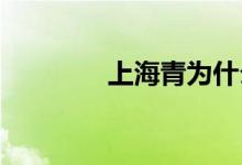  上海青为什么炒出来是苦的 