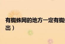 有蜘蛛网的地方一定有蜘蛛吗（灵网蜘蛛丝在外域哪个地方出）