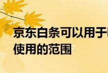 京东白条可以用于哪些方面 京东白条有哪些使用的范围