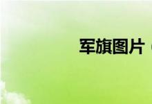 军旗图片（军旗怎么玩）