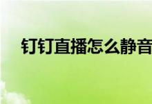 钉钉直播怎么静音（钉钉直播怎么分屏）
