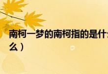 南柯一梦的南柯指的是什么意思（南柯一梦的南柯指的是什么）