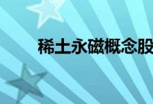 稀土永磁概念股龙头是哪些股票（）