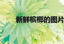 新鲜槟榔的图片（新鲜槟榔的吃法）