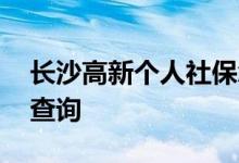 长沙高新个人社保怎么查询 如何社保账户的查询 
