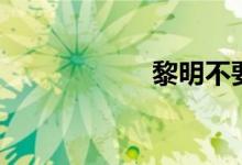 黎明不要来（歌词）