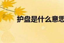 护盘是什么意思啊 护盘是什么意思