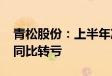 青松股份：上半年净利预亏1.3亿元-1.7亿元同比转亏