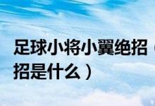 足球小将小翼绝招（足球小将里的大空翼的绝招是什么）