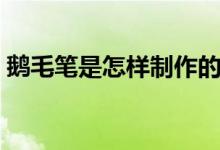 鹅毛笔是怎样制作的（鹅毛笔是怎样制作的）