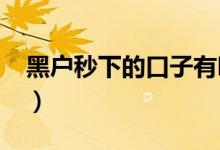 黑户秒下的口子有吗（2019黑户秒过的口子）