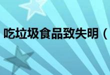 吃垃圾食品致失明（垃圾食品的危害有哪些）
