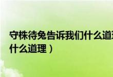 守株待兔告诉我们什么道理一句话（“守株待兔”告诉我们什么道理）