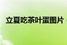 立夏吃茶叶蛋图片（立夏吃茶叶蛋的由来）