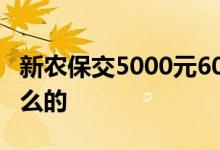 新农保交5000元60岁现在能拿多少 标准是怎么的 