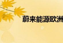 蔚来能源欧洲工厂9月投入运营