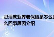 灵活就业养老保险是怎么回事 千万别办灵活就业养老保险怎么回事原因介绍 