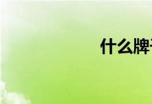  什么牌子苦荞茶好 