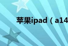 苹果ipad（a1458型号是多大尺寸）