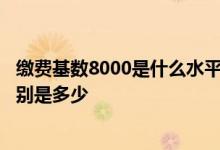 缴费基数8000是什么水平 缴费15年、20年和30年养老金分别是多少 