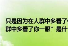 只是因为在人群中多看了你一眼是什么歌（“只是因为在人群中多看了你一眼”是什么歌）