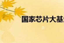 国家芯片大基金总裁丁文武被查