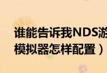 谁能告诉我NDS游戏（勇者斗恶龙4 因该把模拟器怎样配置）