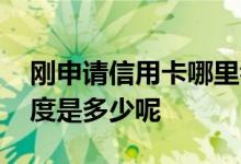 刚申请信用卡哪里看额度 信用卡刚办下来额度是多少呢