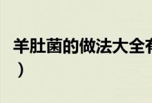 羊肚菌的做法大全有图（羊肚菌的做法有哪些）