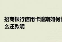 招商银行信用卡逾期如何协商还款 我用了招商银行信用卡怎么还款呢
