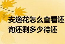 安逸花怎么查看还剩多少没还 安逸花如何查询还剩多少待还