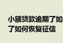 小额贷款逾期了如何恢复征信 银行贷款逾期了如何恢复征信
