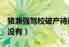 猪兼强驾校破产待退学费2亿（你的已经退了没有）