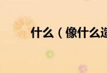 什么（像什么造句 有逗号真什么）