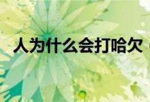 人为什么会打哈欠（打哈欠的作用是什么）