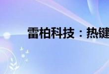 雷柏科技：热键电子拟减持不超2%