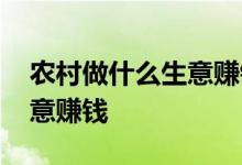 农村做什么生意赚钱创业项目 农村做什么生意赚钱