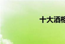  十大酒柜品牌排行榜 