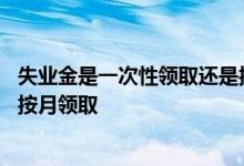 失业金是一次性领取还是按月发放 失业金是一次性领取还是按月领取