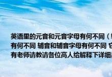 英语里的元音和元音字母有何不同（辅音和辅音字母有何不同 有何意义 元音和元音字母有何不同 辅音和辅音字母有何不同 它们又有何意义 我是自学的新手碰到这些问题也没有老师请教请各位高人给解释下详细具体点！！！！）