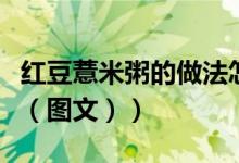 红豆薏米粥的做法怎么熬（红豆薏米粥的做法（图文））
